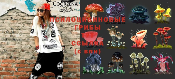 прущий лед Магас