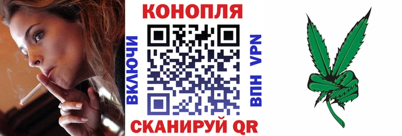 где найти наркотики  Куртамыш  Марихуана MAZAR 